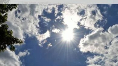 weather