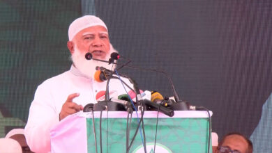 Jamayet amir
