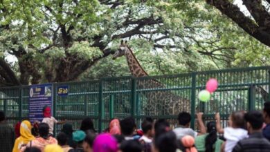 Zoo