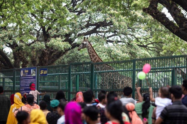 Zoo