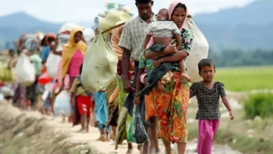 rohingya new