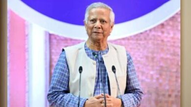 yunus zen