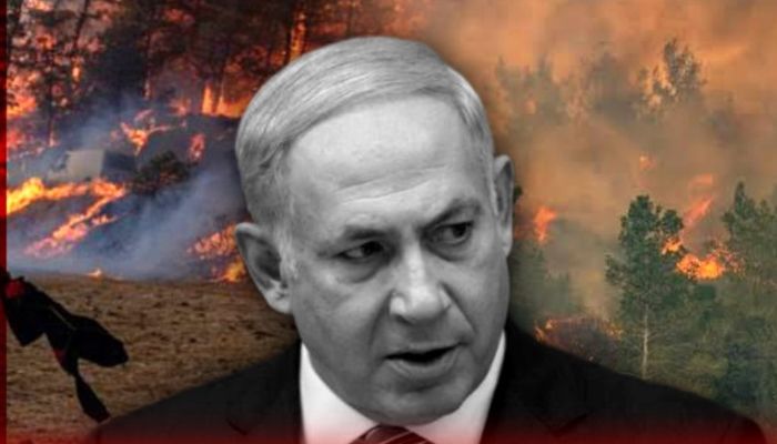 ভয়াবহ দাবানলে পুড়ছে ইসরায়েল 1 Israel bush fire