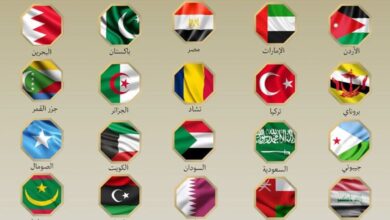 21 muslim countries