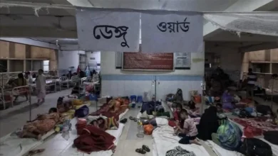 Dengu