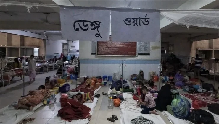 Dengu