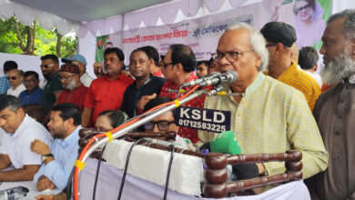 rizvi mitford