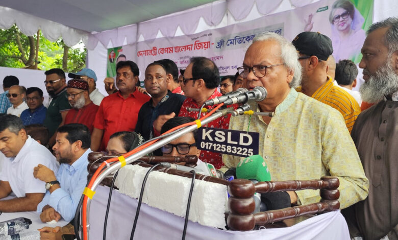 rizvi mitford