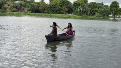 হাওড়