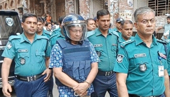 mamun sakkhi