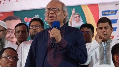 rizvi original