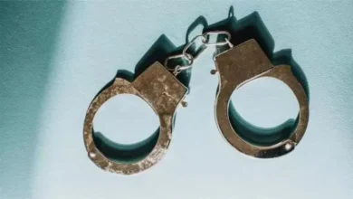 সরকার উৎখাতjpg