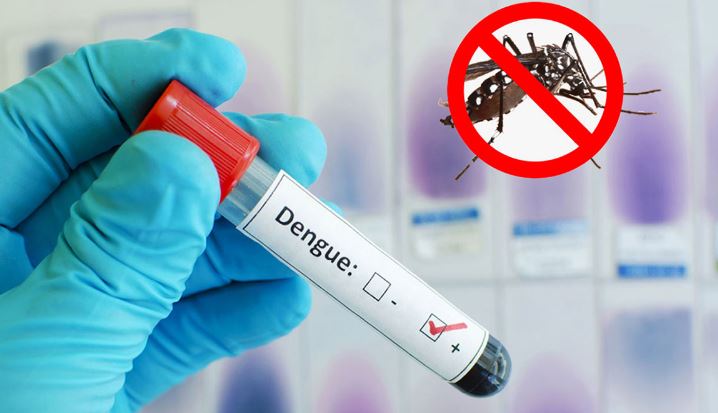 ডেঙ্গুতে আরও একজনের মৃত্যু, হাসপাতালে ৩৭৪ 1 1
