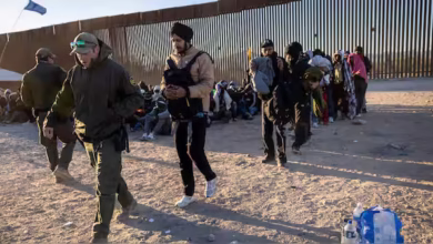 illegal immigrants