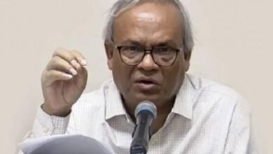 রিজভী ঘোড়া