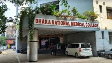 National medical guli