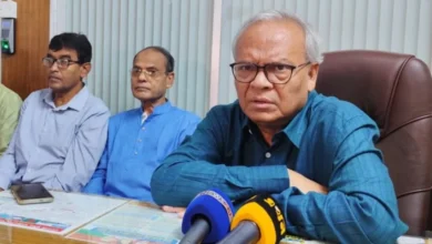 Rizvi BNP