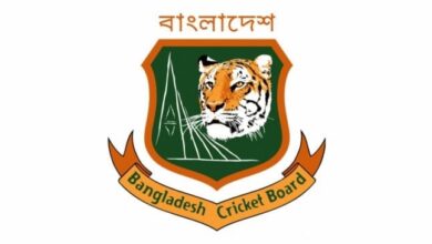 Tiger logo