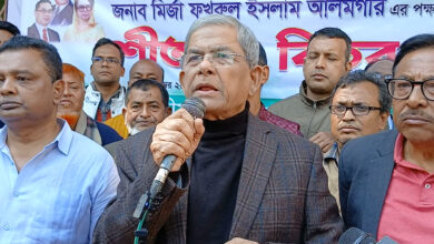 mirza fakhrul 2