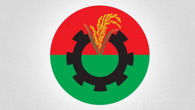 BNP logo 2