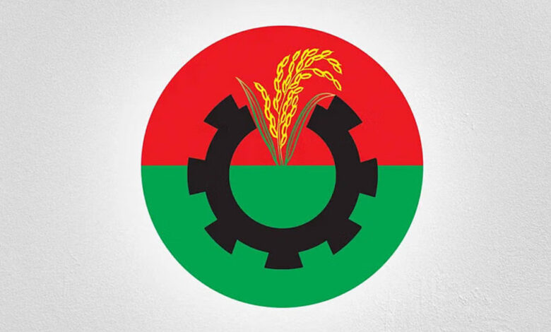 BNP logo 2