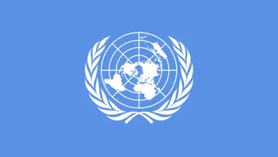 UN logo