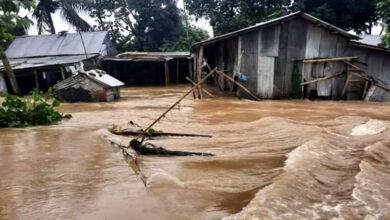 flood web