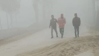 শৈত্য প্রবাহ