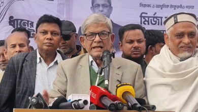 bnp 20260204180423