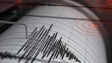 earthquake 176