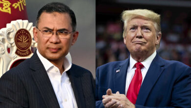 tareq trump