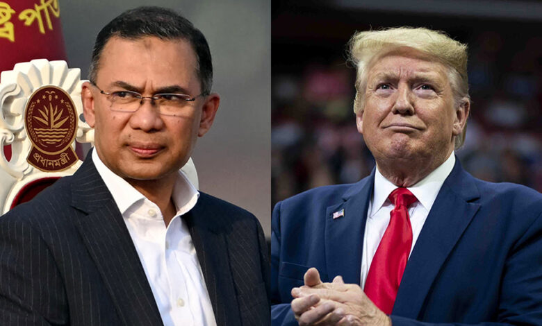 tareq trump
