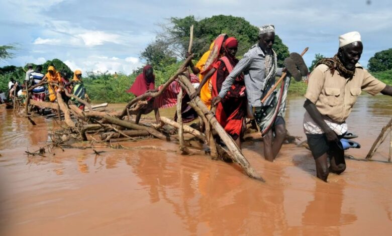 Kenya 69c8df416c729