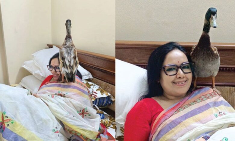‘ওই যে হাঁস আপা আসছে’ এমন মন্তব্য ভীষণ পছন্দ রুমিনের 1 Untitled 1 69c7b6ebb5d44