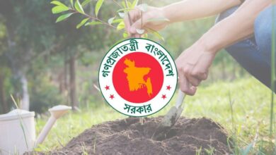 dhaka post 2026 03 04t140157207 20260304140018