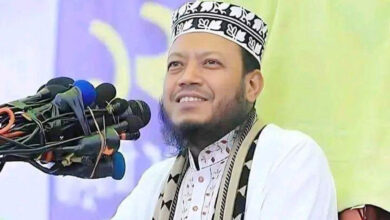 Amir Hamza