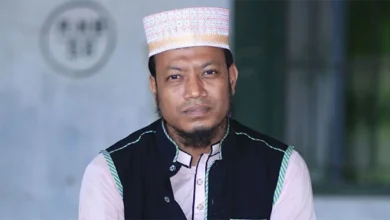 amir hamja 1770907322