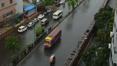 rain 20260429084523