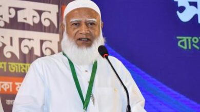amir 20260502025338