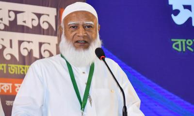amir 20260502025338