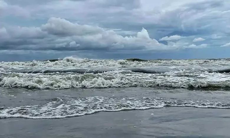 bay 20260510211622