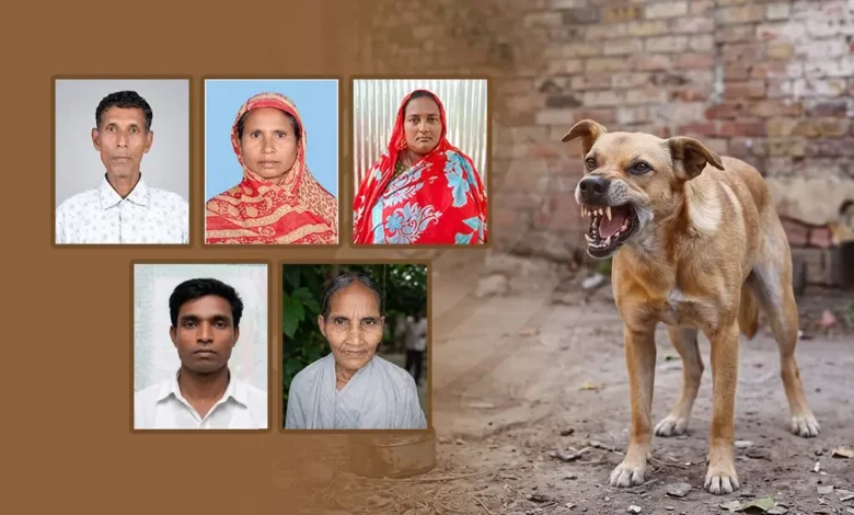 dog 20260520170010