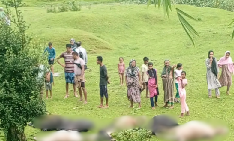 মৌলভীবাজারে বজ্রপাতে ১৩ গরুর মৃত্যু 1 Screenshot 2026 06 03 164916