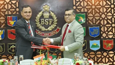 bgb bsf 3 20260613124720