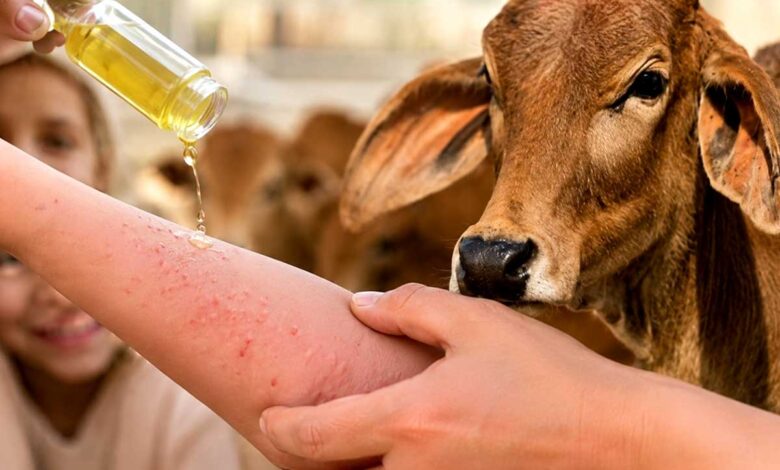 cow urine cover