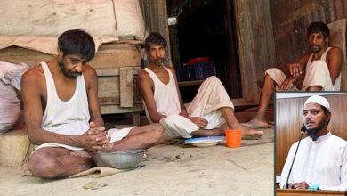 d masud 1780558540