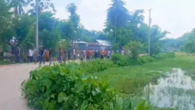 habigonj 20260628201718