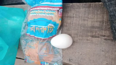 kishoregonj 20260624193212