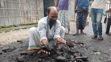 nilphamari 20260611160941