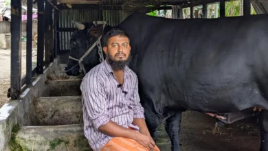 patuakhali 20260614143029
